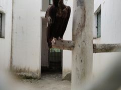 -青峰峡国家森林公园