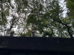 -狼山风景名胜区