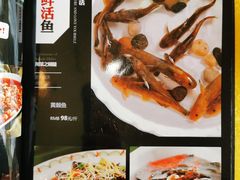 -胖大姐黄辣丁鱼庄(新津店)