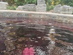 -中家鑫园温泉酒店鑫悦汤泉