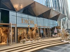 -深圳湾万象城(南山店)