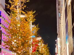 -优衣库(银座店)