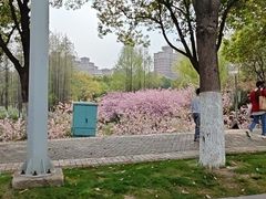 -武汉园博园(武汉自然博物馆)
