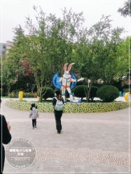 -酷酷兔少儿拓展天地