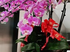 -TSK齿科德申会口腔门诊·联洋诊所
