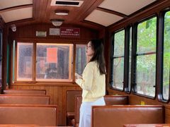 -合肥滨湖国家森林公园