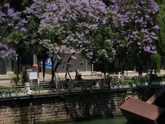 -成都市活水公园