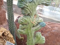 -南通洲际绿博园