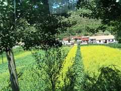 -北坞公园