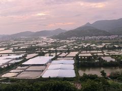 -广东惠东海龟国家级自然保护区