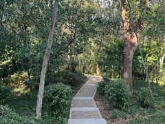 -上海佘山国家森林公园天马山园