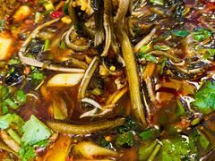 -乐山第一家临江鳝丝(茶坊路店)