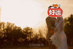 点击看大图 -CD视觉婚纱摄影