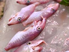 -龙眼南白粥六顺白粥