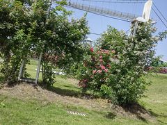 -武汉紫薇都市田园