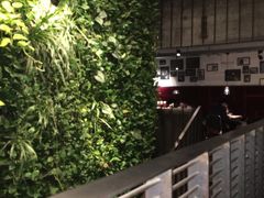 -外婆家(杭州马塍店·杭帮菜名店)
