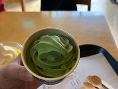 -雪绿茶博物馆