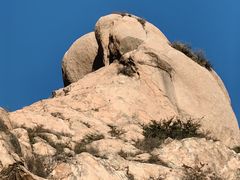 -天涯山