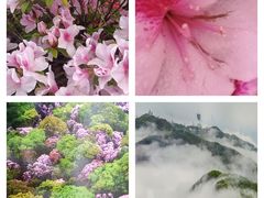 -梧桐山风景名胜区