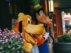 -上海迪士尼度假区