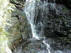 -头塘庄园(农家乐)