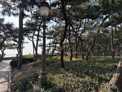 -青岛第二海水浴场