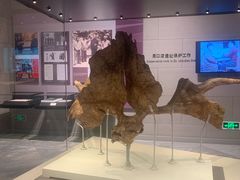 -北京周口店北京人遗址博物馆