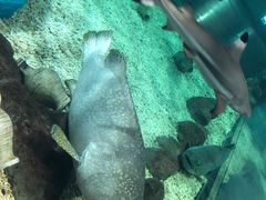-福州罗源湾海洋世界旅游区