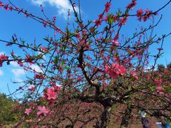 -象头山国家级自然保护区