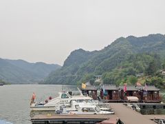 -后柳水乡