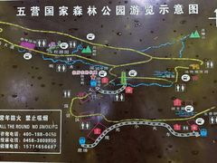 -五营红松林海景区