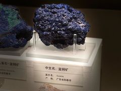 -天津自然博物馆