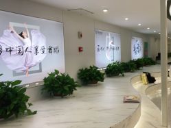-单色舞蹈