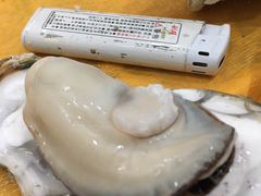 -蚝专家(北滘店)