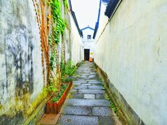 -运河游船(武林门码头)