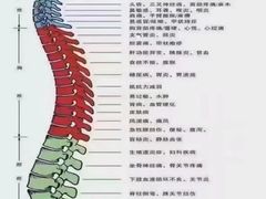 -福康堂正骨推拿艾灸