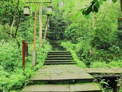-中国茶叶博物馆(双峰馆区)