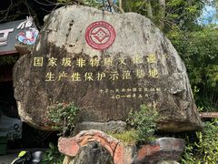-海南槟榔谷黎苗文化旅游区