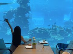 -海棠湾洲际-涛·海底餐厅·美人鱼·自助餐·海底隧道