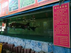-年辉渔村·非遗传承餐厅(新丰江店)