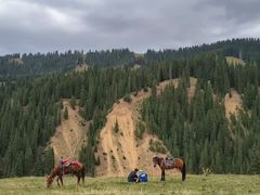 -塞罕坝国家级自然保护区