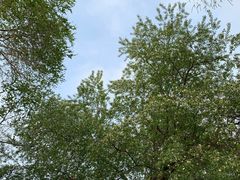 -长春市南湖公园