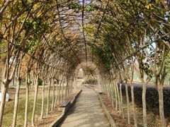 -武汉紫薇都市田园