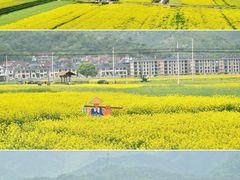 -东梓关景区村庄