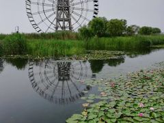 -太湖湖滨国家湿地公园-停车场