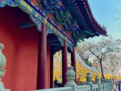 -护国法轮寺