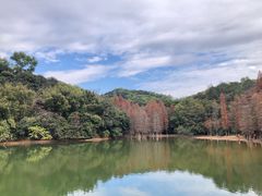 -广州市白云山风景名胜区