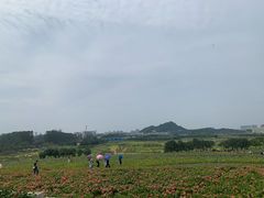 -光明小镇欢乐田园