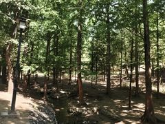 -白水寺森林公园