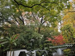 -中山公园